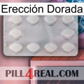 Erección Dorada 16